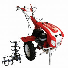 Motocultor 16 CP Agro Garden BTA-16SGE cu reductor 4F2R